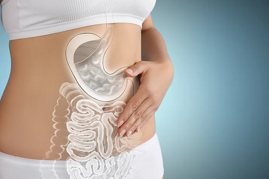 Gut-Health-Doctor Close up of the midriff of a woman with white underwear and an illustration of the digestive system superimposed over the image. Get help for digestive issues and gut health from Tanya Zboril, NP of TBT Medical in Halifax.